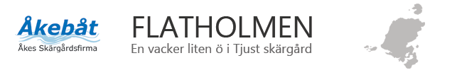 flatholmen.com