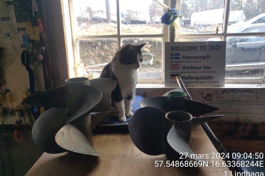 TimePhoto_20240327_090450